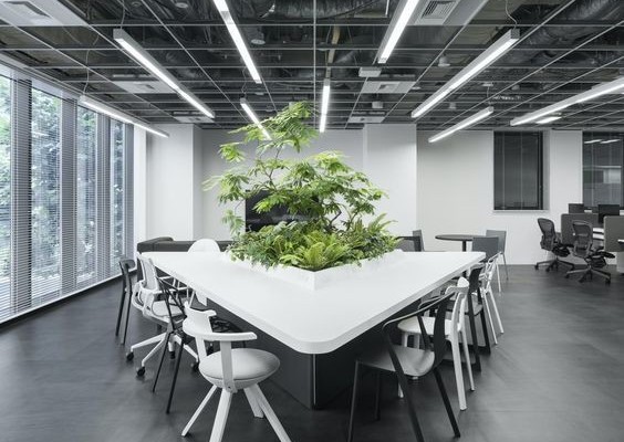 Office Interior Design