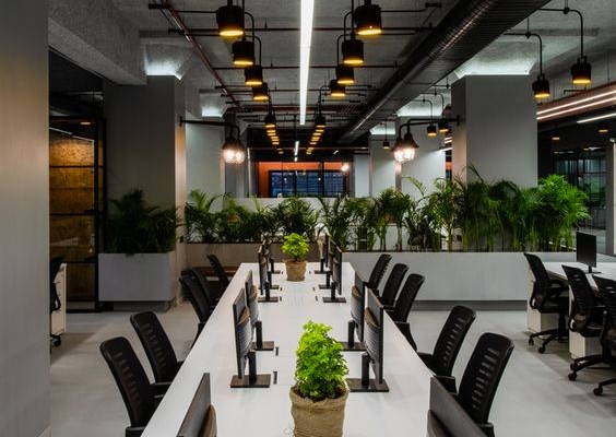 Office Interior Design